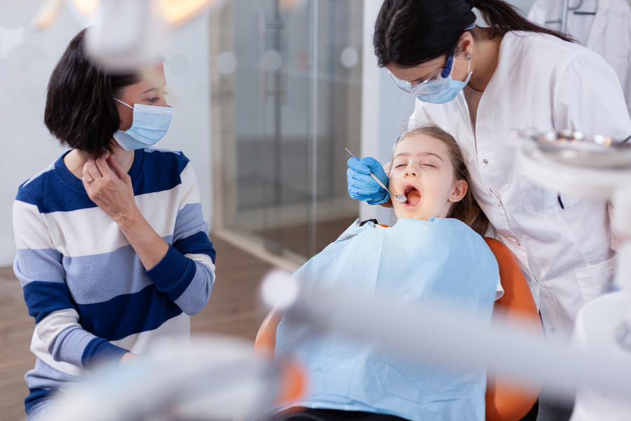 How Often Do You Need a Dental Check-Up?
